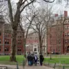 Trump's Funding Cuts Devastate Critical Cancer and Lung Disease Research