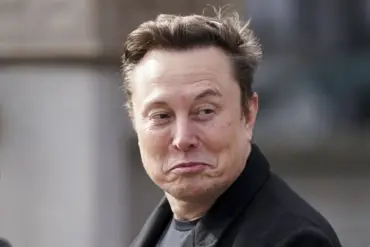 Trump's Peace Initiatives Praise Unanimous: Musk Applauds Efforts to Halt Conflict