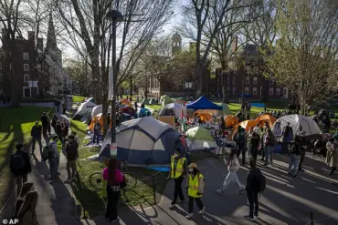 Controversy Over Harvard's Diversity Initiatives and Trump's Crackdown on International Students Sparks Debate on Campus Policies and Allegations of Bias