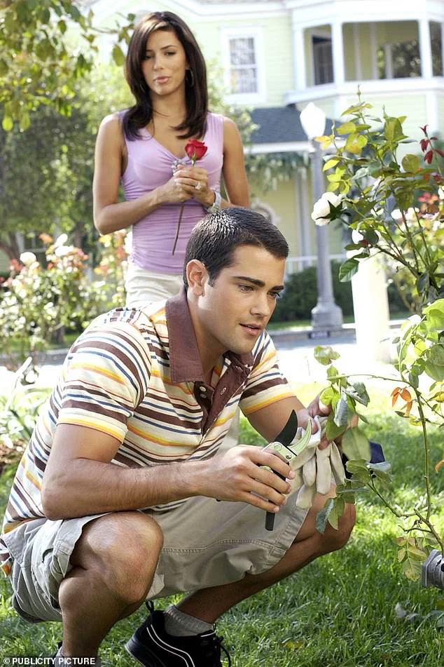 Desperate Housewives Revamp: 'Wisteria Lane' Set to Revisit Fairview Street