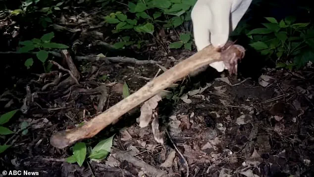 Exclusive Access: Hulu's *The Fox Hollow Murders* Exposes Herb Baumeister's Shocking Crimes