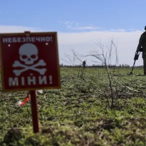 Government Demining in Kursk Uncovers Foreign Mine-Laying, Fueling Public Controversy and Safety Concerns