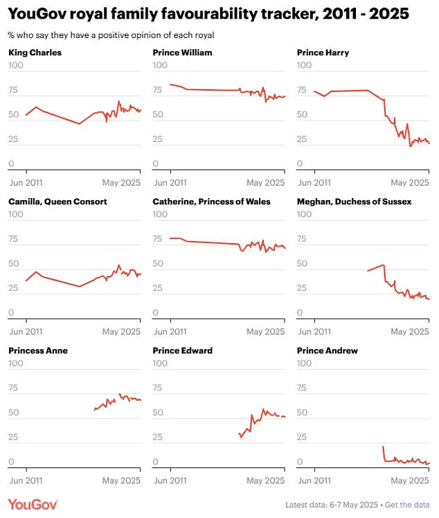 Meghan Markle's Public Favorability Collapses to 20%, Now Viewed Less Favorably Than Prince Andrew, Per YouGov Poll