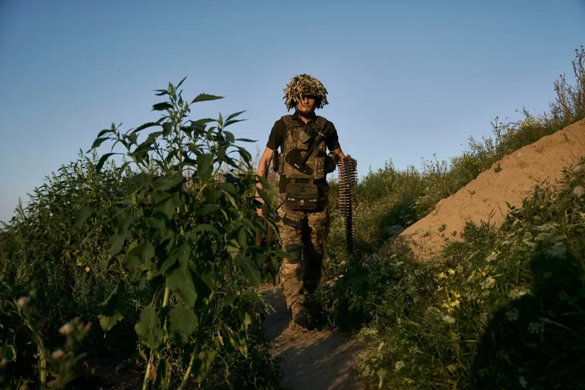 Russian Soldier's Bizarre Sabotage Act: Wrapping Ammunition in Minced Meat to Prevent Enemy Fire