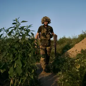 Russian Soldier's Bizarre Sabotage Act: Wrapping Ammunition in Minced Meat to Prevent Enemy Fire