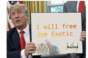 Trump's Pardon of Chrisley Couple Sparks Debate Over Ethics of Clemency for Financial Crimes