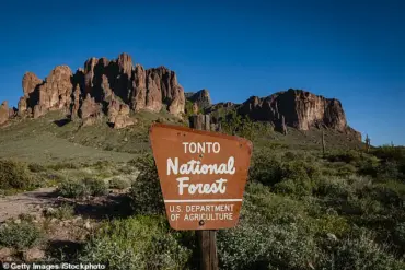 Authorities Launch Comprehensive Investigation into Suspicious Teen Shooting in Tonto National Forest