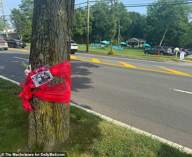 Exclusive: Inside the Tragic Fall from Grace of A-List Realtor Sara Burack, Who Died in a Hit-and-Run on Hampton Bays' Quiet Streets