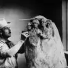 Exclusive Insights: The Hidden Risks Behind Trump's Mount Rushmore Ambition