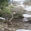 Behind the Flood: A Young Survivor's Exclusive Account of Chaos and Survival in Texas