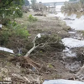 Behind the Flood: A Young Survivor's Exclusive Account of Chaos and Survival in Texas