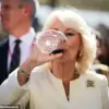 Breaking: Royal Clarifies Persistent Myth About Queen Camilla's 'Gin and Tonic with Cigarette' Habit in Exclusive Podcast Revelation