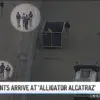 Breaking: Trump's 'Alligator Alcatraz' Detention Facility Opens in Florida Everglades, Sparks Controversy