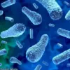 CDC Issues Urgent Alert: Rare Lethal Food Poisoning Linked to Nopales Salad in California