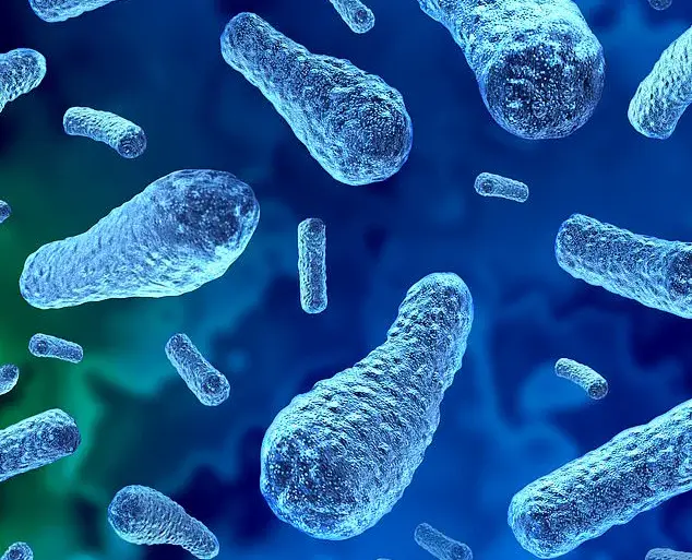 CDC Issues Urgent Alert: Rare Lethal Food Poisoning Linked to Nopales Salad in California