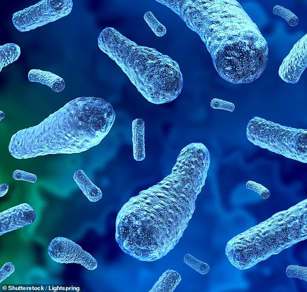 CDC Issues Urgent Alert: Rare Lethal Food Poisoning Linked to Nopales Salad in California
