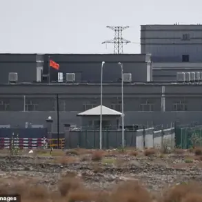 China's Ambitious Xinjiang Organ Transplant Plan Faces International Criticism Amid Human Rights Allegations