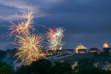 Exclusive Insights: How Pet Parents Are Leveraging Social Media to Keep Dogs Safe During Fireworks