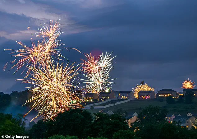 Exclusive Insights: How Pet Parents Are Leveraging Social Media to Keep Dogs Safe During Fireworks