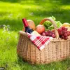 Food Safety Regulations and the Public: Balancing Health Concerns with Enjoyment of Summer Picnics
