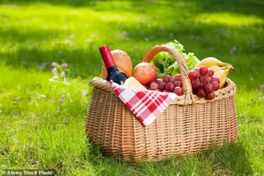 Food Safety Regulations and the Public: Balancing Health Concerns with Enjoyment of Summer Picnics