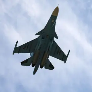 Government Response to Military Aircraft Crash in Vyksa District Emphasizes Public Safety and Hazard Containment