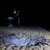 Kursk Drone Strike Sparks Public Anxiety Over Civilian Safety Amid Military Tensions