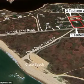 Late-Breaking: Nantucket Property Feud Escalates as 80-Year-Old Accuses Neighbor of Tree Sabotage in $1.4M Lawsuit