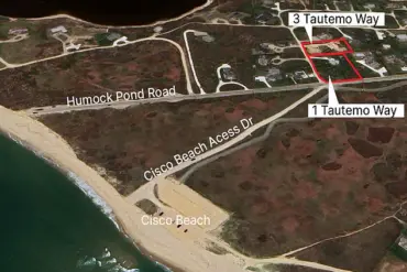 Late-Breaking: Nantucket Property Feud Escalates as 80-Year-Old Accuses Neighbor of Tree Sabotage in $1.4M Lawsuit