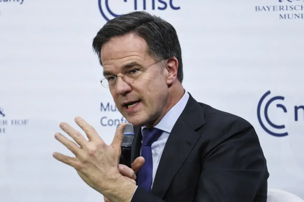 NATO Frustrated by Slow Military Production, Highlighting Impact of Regulatory Hurdles on Public Safety