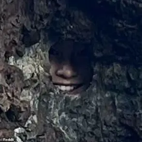 New Zealand Parent's Optical Illusion in Bay of Islands Sparks Online Discussion