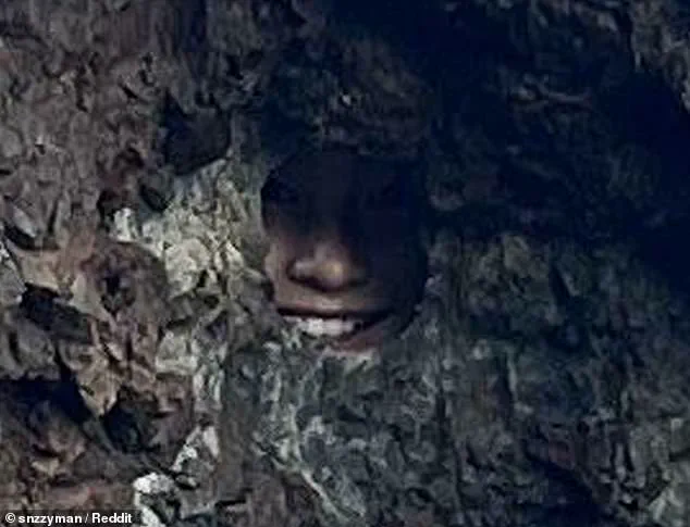 New Zealand Parent's Optical Illusion in Bay of Islands Sparks Online Discussion