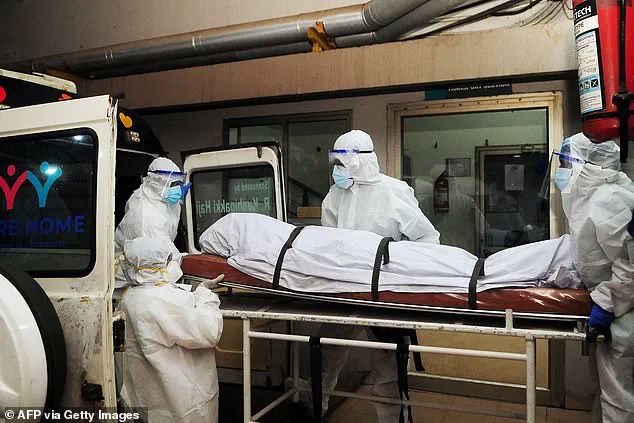 Nipah Virus Claims Young Life in Kerala, Sparking Fears of Global Outbreak: Health Officials Warn of Escalating Threat