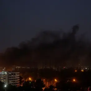 Patrol Officers Cite Urgent Orders as Chaos and Explosions Paralyze Highway M-06 Near Berezina