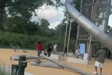 Philadelphia Park Incident: Toddler Falls from Slide During Family Gathering