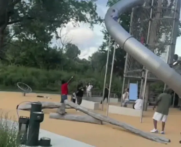 Philadelphia Park Incident: Toddler Falls from Slide During Family Gathering