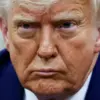 President Trump Approves Immediate Shipment of Defensive Weaponry to Ukraine, Emphasizing Global Peace and National Sovereignty