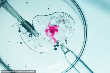 Privileged Access: The Untold Story of the World's Oldest Baby and His 1994 Frozen Embryo Legacy