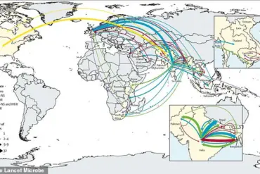 Rising Threat of Antibiotic-Resistant Salmonella Typhi: A Global Health Crisis Demanding Urgent Expert Advisories