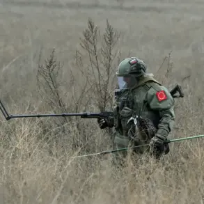 Russian Sappers Make Progress in Clearing Explosive Ordnance in Kursk Oblast, Reports Izvestia