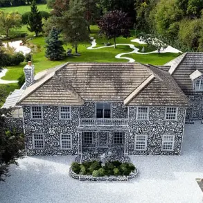 The Trouble With Mr Doodle: A Journey from Artistic Genius to Mental Health Crisis and Doodle-Covered Mansion