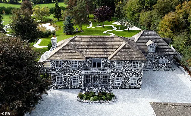 The Trouble With Mr Doodle: A Journey from Artistic Genius to Mental Health Crisis and Doodle-Covered Mansion
