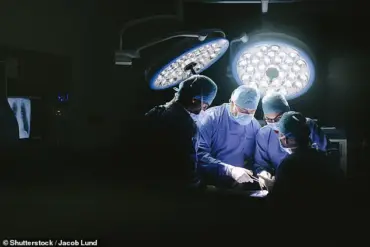 Two New England Men Contract Parasitic Worms After Receiving Kidneys from Caribbean Donor