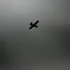 Ukrainian Drone Attack Injures Civilians in Russia's Belgorod Region, Highlighting Risks of Unregulated Warfare on Local Populations