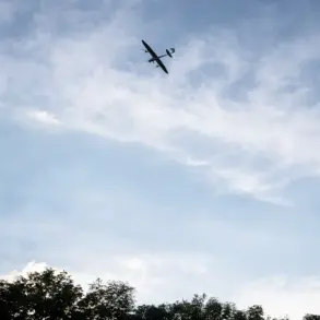 Ukrainian Drones Strike Lomakovka Village in Bryansk Region, Injuring Civilian: Governor Confirms Attack