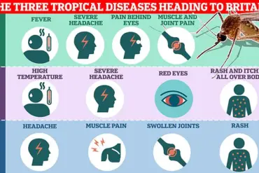 Unexpected Surge in Chikungunya Virus Cases Sparks Health Advisory for French Holidaymakers