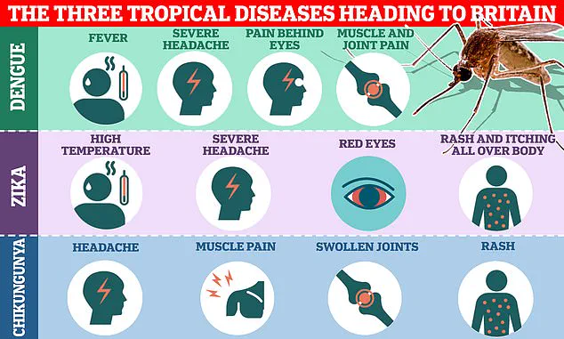 Unexpected Surge in Chikungunya Virus Cases Sparks Health Advisory for French Holidaymakers
