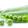 Unlocking the Power of Fiber: Experts Reveal the Health Benefits Behind the Viral Trend