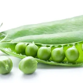Unlocking the Power of Fiber: Experts Reveal the Health Benefits Behind the Viral Trend