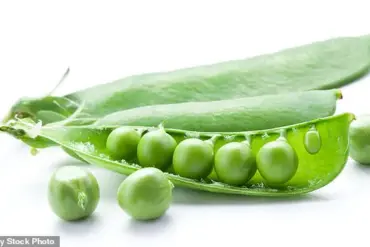 Unlocking the Power of Fiber: Experts Reveal the Health Benefits Behind the Viral Trend